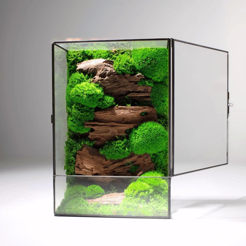 Serene Moss Glass Terrarium™