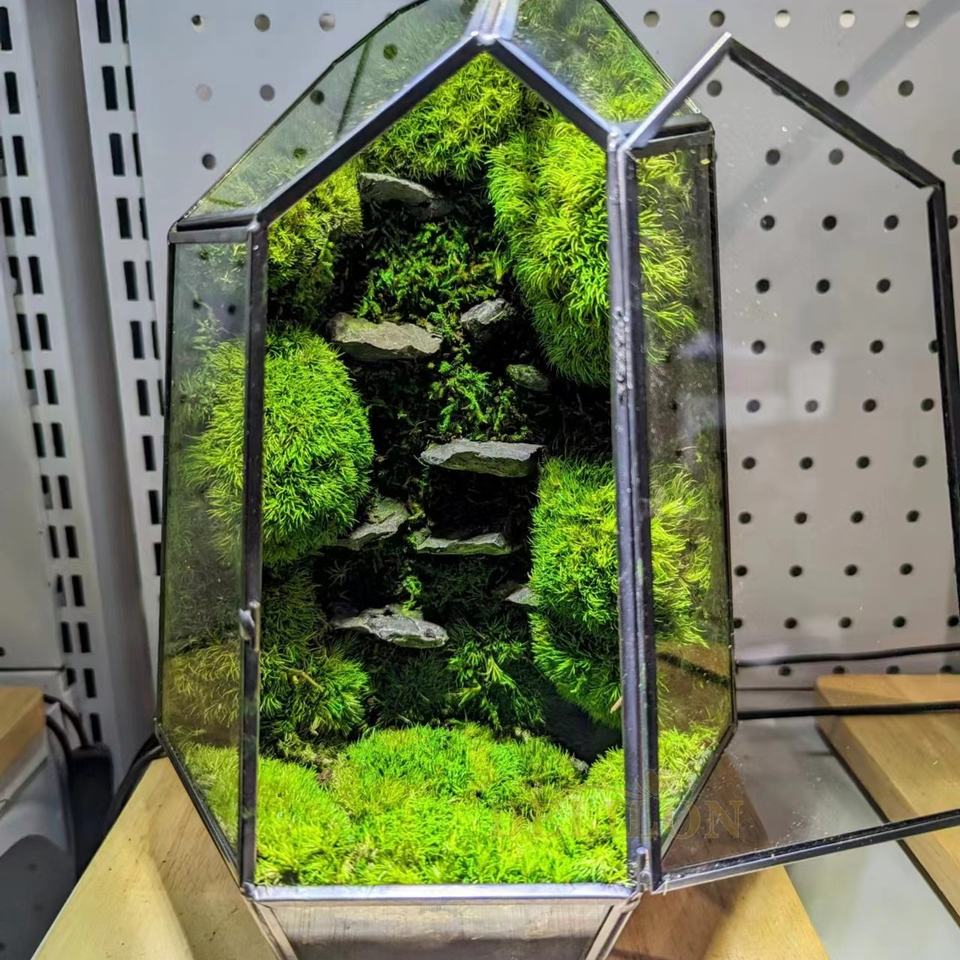Serene Moss Glass Terrarium™