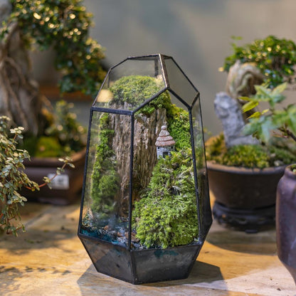 Serene Moss Glass Terrarium™