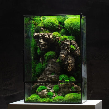 Serene Moss Glass Terrarium™