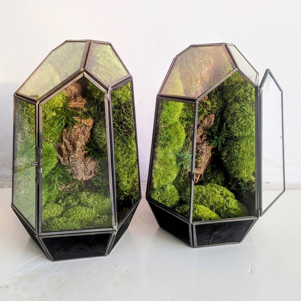 Serene Moss Glass Terrarium™