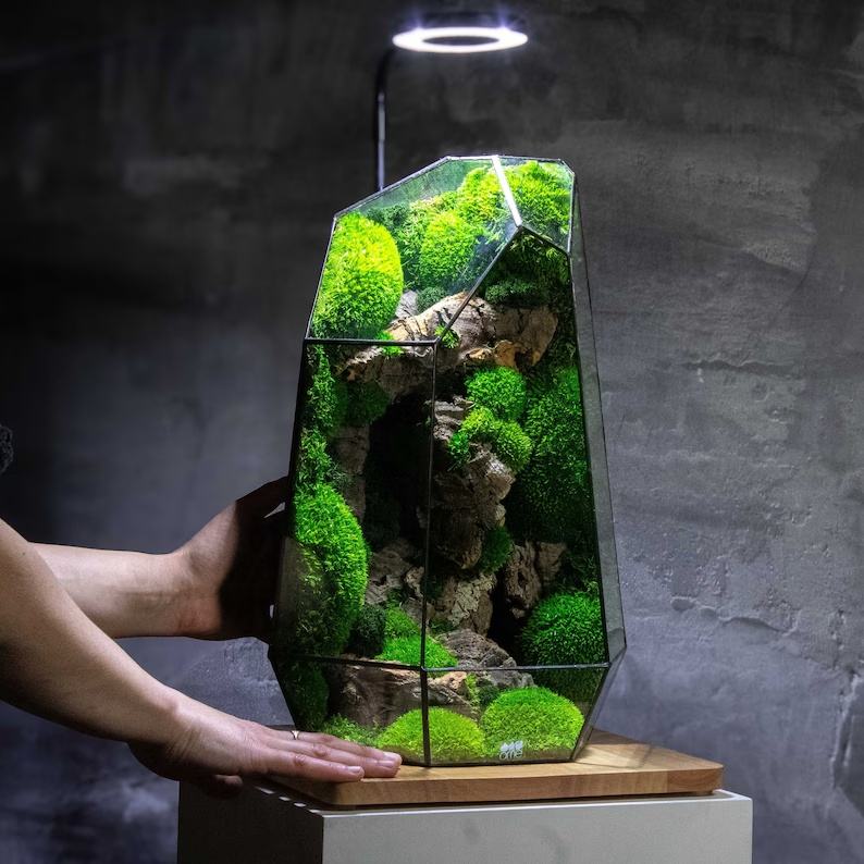 Serene Moss Glass Terrarium™