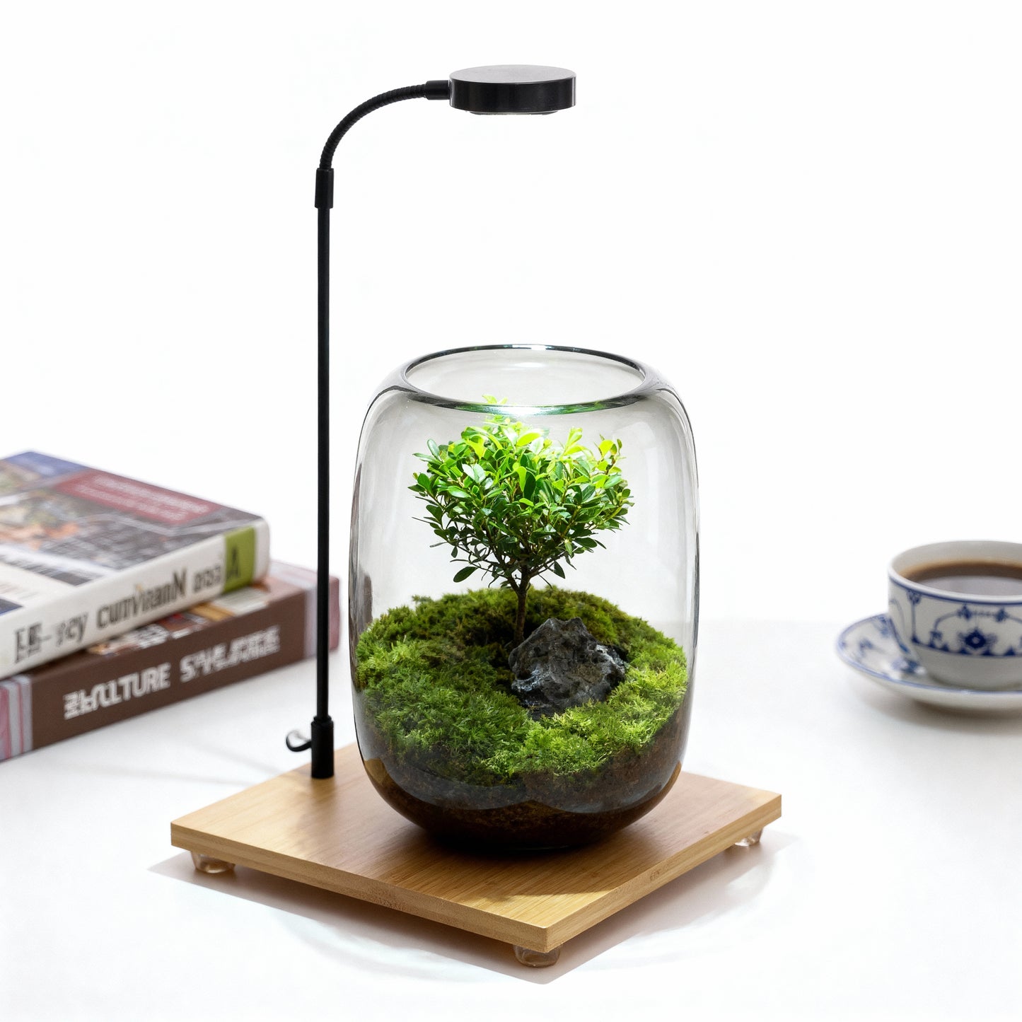 Wooden Display Board with Light